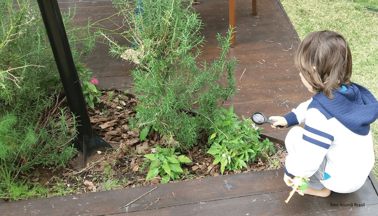Plantas e Memórias